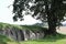 Boulders at a Neolithic tumulus in North Germany