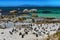 Boulders Penguin Colony