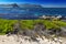 Boulders Penguin Colony