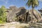 Boulders rocks and coconut palm in La Digue island Seychelles