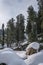 Boulders and rocks covered with snow with alpine trees conifers in the background