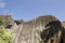 Boulders rocks and leaf coconut palm in La Digue island Seychelles