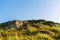 Boulders and rocks in the mountains. Carpathians. Summer, Autumn, Spring. The grass is influenced by the wind. Monument at the top