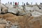 Boulders and rocks on shores of Bird Rock, Pebble Beach, 17 Mile Drive, California, USA