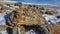 Boulders are scattered on a snow-covered high-altitude plateau.