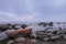 Boulders on a sea shore. Wild rocky seashore on a cloudy day. Fabulous seascape