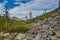 Boulders slope of mountain. A taiga in the summer. A stream valley