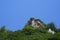 Boulders surrounded by green trees on the mountain with blue sky background