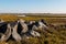 Boulders on Tijuana River National Estuarine Research Reserve