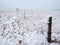 Boundary fence on an icy farmland in spring.