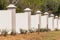 Boundary Wall Trees