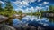 Boundary waters canoe trip. Beautiful river sky cloud reflection. Fir trees pristine wilderness.