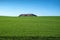 Boundless green field