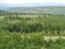 boundless green taiga expanses of russia