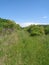 boundless green taiga expanses of russia