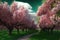 bountiful cherry orchard, with pink blossoms and green foliage