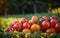 Bountiful Harvest Vibrant Tomatoes Straight from the Garden