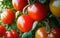 Bountiful Harvest Vibrant Tomatoes Straight from the Garden