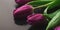 Bouqet of purple tulips on wooden background