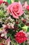 Bouquet Arrangement Of Red Roses, Alstroemeria, Carnations and Wax Flowers