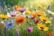 Bouquet of Assorted Vivid Wildflowers Occupying the Center of the Frame - Soft Focus Background of Abundance