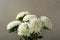 Bouquet asters against concrete wall