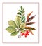 Bouquet of autumn colorful chestnut leaves, acacia, red rowan berries. Hand drawn watercolor illustration isolated on white backgr