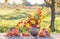 Bouquet autumn flowers in rustic jug on wooden table outdoor at sunset