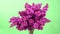 Bouquet of beautiful blooming lilacs. Floral romantic spring background. Branches of flowering or blossoming lilac.