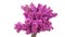 Bouquet of beautiful blooming lilacs. Floral romantic spring background. Branches of flowering or blossoming lilac.