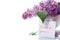 Bouquet of beautiful blooming lilacs in a vase