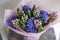 Bouquet of Beautiful blue and lilac hyacinths. Close-up spring flowers in vase. bulbous plant. Floral wallpaper