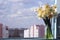 A bouquet of beautiful different daffodils in a glass jar stands on the windowsill of an open window. Spring flowers at home