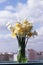 A bouquet of beautiful different daffodils in a glass jar stands on the windowsill of an open window. Spring flowers at home