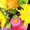 A bouquet of beautiful flowers - carnations, chrysanthemums, dahlias, calendula, gerbera, daisies