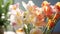 Bouquet of beautiful freesia flowers, close-up