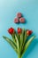 Bouquet of beautiful fresh tulips on blue background and macarons. concept March 8