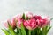 Bouquet of beautiful pink peony tulips