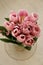 Bouquet of beautiful pink tulips in early spring as a postcard or picture with nice flowers