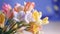 Bouquet of beautiful spring freesia flowers on table, closeup