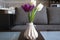 Bouquet of beautiful spring  minimalism  tulips anniversary the room decoration