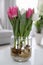 Bouquet of beautiful tulips with bulbs on table indoors