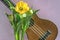 A bouquet of beautiful tulips on a lilac background and a fragment of a musical instrument ukulele.