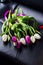 Bouquet beautifull of white and violet tulips on black seat in c