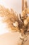 Bouquet of beige dried flowers in a glass vase on beige background.