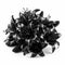 Bouquet of black lilies, beautiful unusual flowers, mourning, gothic, on white, creative floral background