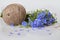 Bouquet of blue Flax flowers and Linen thread ball on a white background