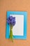 Bouquet of blue grape hyacinth on blank blackboard with blue edges, over cork background. Selective focus. Space for text