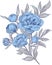 Bouquet of blue peonies with gray leaves, vector illustration