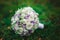 Bouquet bride with purple flowers
